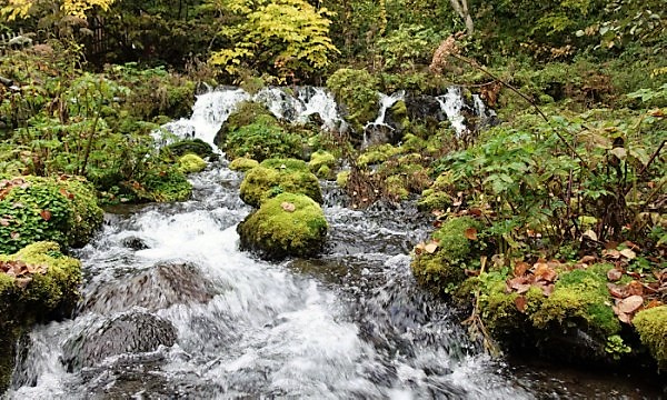 北海道東北旅2020　ふきだし公園の湧き水