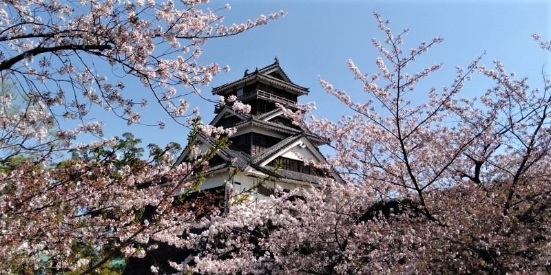 2022春の九州５県めぐり　春の熊本観光