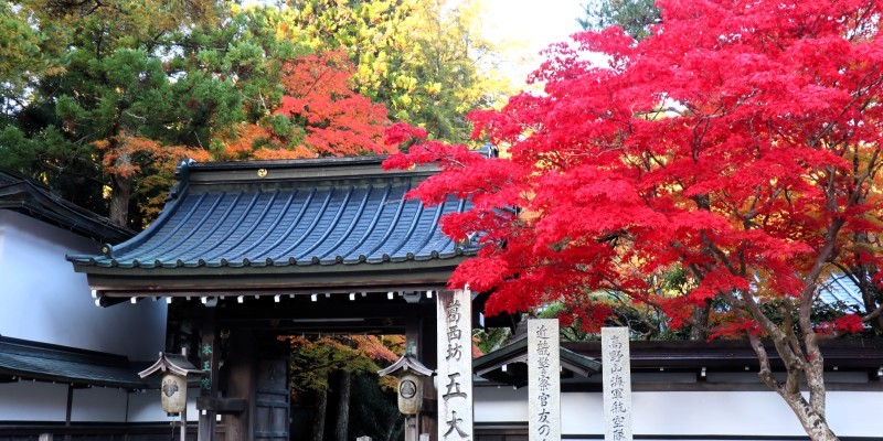 2023秋満喫！奈良和歌山旅　トップ１